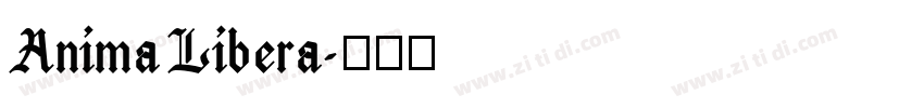 Anima Libera字体转换 Anima Libera字体转换